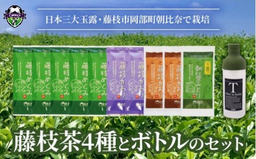 お茶 詰合せ 4種 10本 フィルターインボトル パーソナル セット 緑茶 煎茶 紅茶 玉露 藤枝茶 藤枝かおり 藤枝めぐみ 日本茶 和紅茶 詰め合わせ 静岡茶 飲料 茶葉 飲み比べ 静岡県 藤枝市