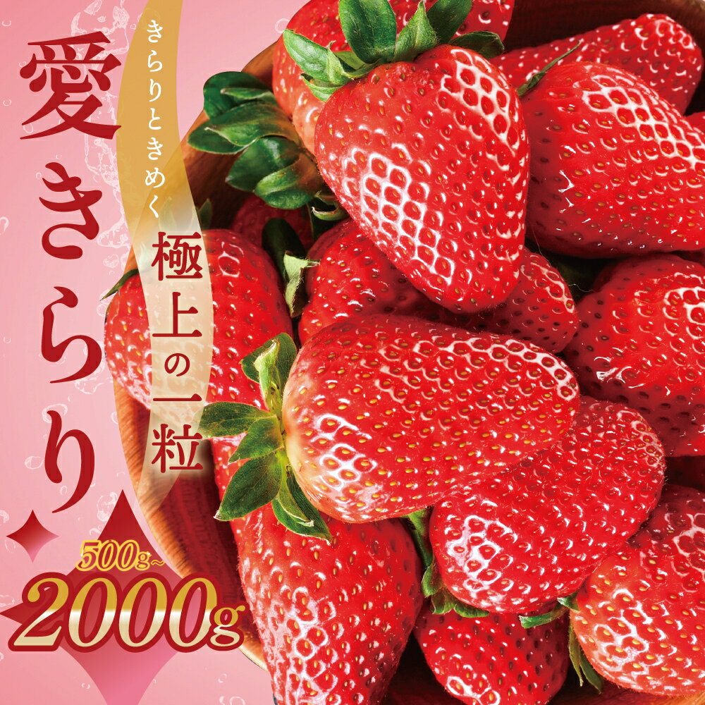 【ふるさと納税】《すぐ届く》希少品種 愛きらり ~ 2kg いちご 選べる 500g 1kg 果物 フルーツ 旬 先行予約 期間限定 イチゴ 苺 パック 高糖度 甘い ケーキ フルーツサンド ジャム にも おすすめ 大満足 規格外 甘さ 楽天限定 ふるさと納税 愛知県 豊橋市 送料無料 10000円