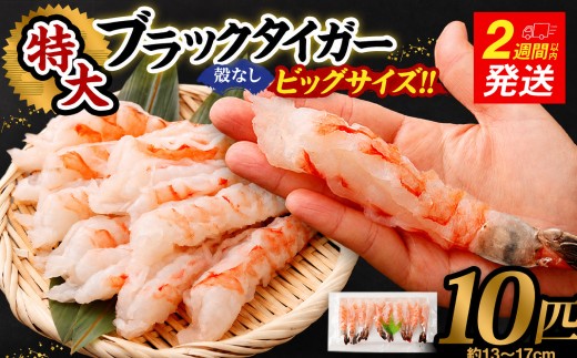 超特大 ブラックタイガー 殻なし 10匹 ｜ ビッグサイズ （約13㎝～約17㎝） ｜ 【入金確認後14営業日程度で発送】  ｜ えび エビ 海老 むきえび 剝きエビ 剥きえび 剥き海老 海老フライ エビフライ えびフライ エビチリ エビマヨ むき身 海鮮 海産物 魚介類 甲殻類 海の幸 大型 大容量 特大 超特大サイズ 時短 簡単調理 ギフト プレゼント 贈答 進物 贈り物 冷凍 大阪府 阪南市
