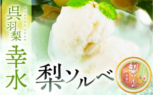 
                  【先行予約】呉羽梨　幸水　梨ソルベ（90ml×6個）
                