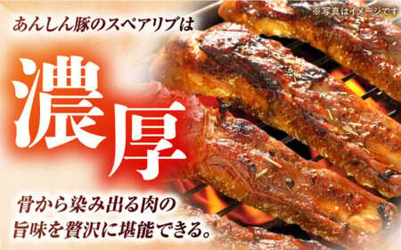 あんしん豚 スペアリブ 1.5kg 豚肉 小分け 国産 白川町 / 藤井ファーム[AWAF004]