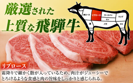 【6回定期便】 飛騨牛 リブロースステーキ 計500g（3枚）/ 牛肉 リブロース ステーキ 肉 霜降り  / 白川町 / 浅井商店[AWBJ031]