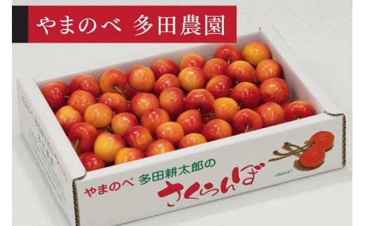 ＜先行予約＞【レーニア】バラ詰 700g【やまのべ多田耕太郎のさくらんぼ 多田農園】