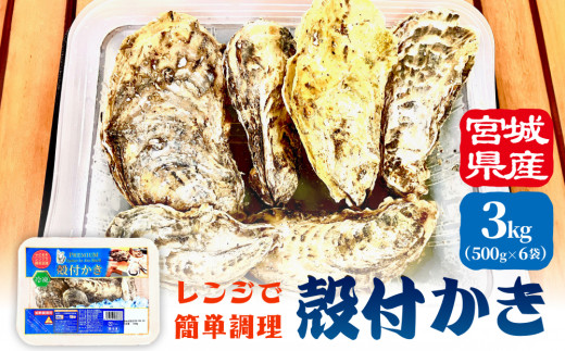 レンジで簡単調理 殻付きかき 500g 6P 冷凍 宮城県産 殻付き 簡単調理 BBQ 牡蠣 カキ 加熱用 蒸し牡蠣 焼き牡蠣 三陸 海鮮 魚介 海鮮物 BBQ バーベキュー キャンプ お取り寄せ レンチン 時短調理 宮城県 石巻市