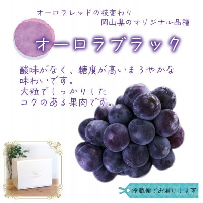 岡山　花笑み農園のブドウ『オーロラブラック』1kg(2房)　A-1【9月上旬～順次発送】【配送不可地域：離島】