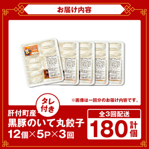 【A43086】＜定期便・全3回＞ 餃子 黒豚 ギョーザ 計180個 (12個入×5パック×3回) 冷凍 ぎょうざ たれ付き【財宝】