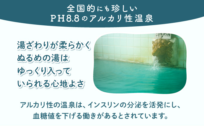ふるさわおんせん回数券27回　185P8402