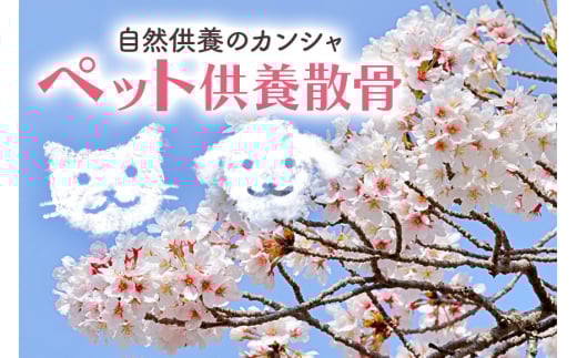 自然供養のカンシャ ペット供養散骨