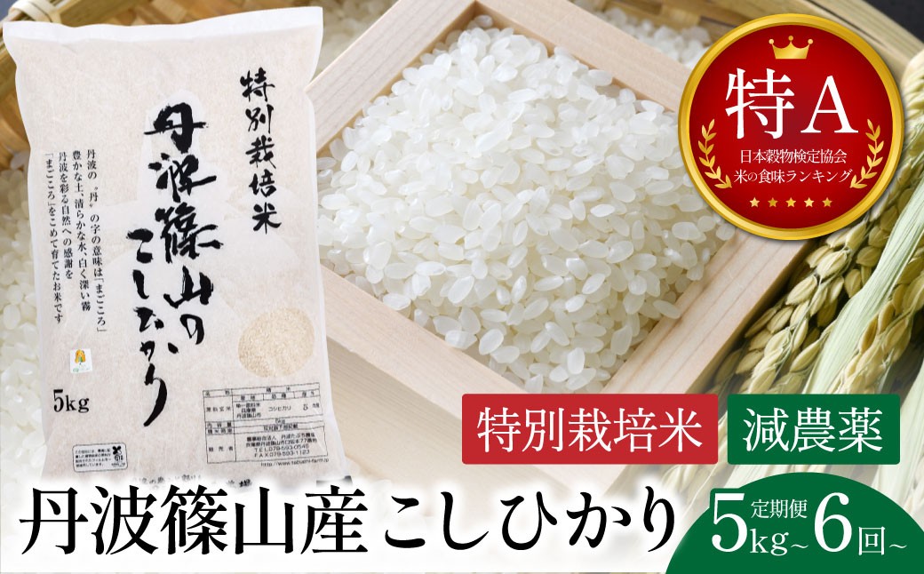 
                  【定期便・令和8年早期予約】特Aランク 特別栽培米 コシヒカリ 5kg 10kg 20kg（全 6回 12回）│  兵庫県 丹波篠山市 白米 100％単一原料米 産地直送米 おいしい お米 精米 コシヒカリ ブランド おこめ
                