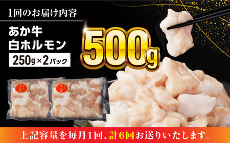 【全6回定期便】熊本県産 あか牛 白ホルモン 合計3kg (250g×2P) 熊本 赤牛 褐牛 あかうし 褐毛和種 肥後 冷凍 国産 牛肉【五右衛門フーズ】[YBZ008]