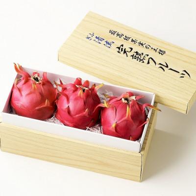 ふるさと納税 瑞穂市 養本社のドラゴンフルーツ　3個入り