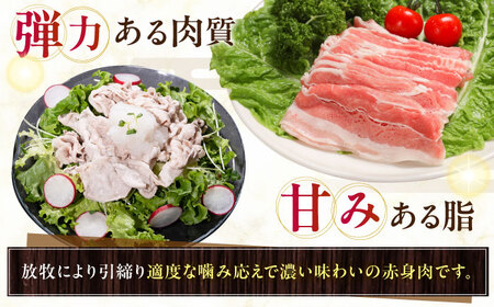 放牧豚バラしゃぶしゃぶ 計400g（200g×2） 精肉 スライス 薄切り 小分け 冷凍 北海道 [AXBA127]