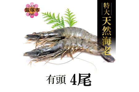 特大 天然海老(有頭･4尾)特大 天然 エビ 有頭 ブラックタイガー 海老 えび 福岡 福岡県 飯塚 飯塚市【C-136】