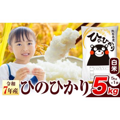 ふるさと納税 氷川町 令和7年産 ひのひかり 白米 熊本県産 5kg《7-14日以内に出荷予定(土日祝除く)》