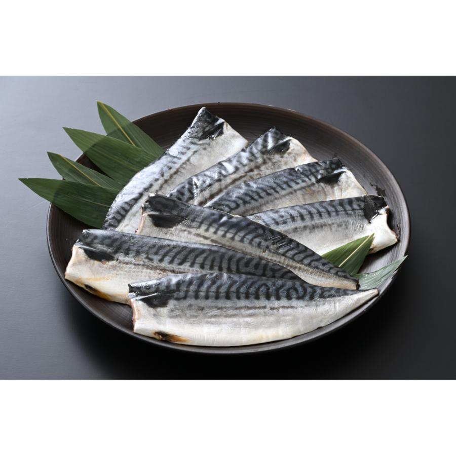 ＜福丸ごーじょーもん＞【骨抜き】鯖の一夜干し 約1kg（半身7切）