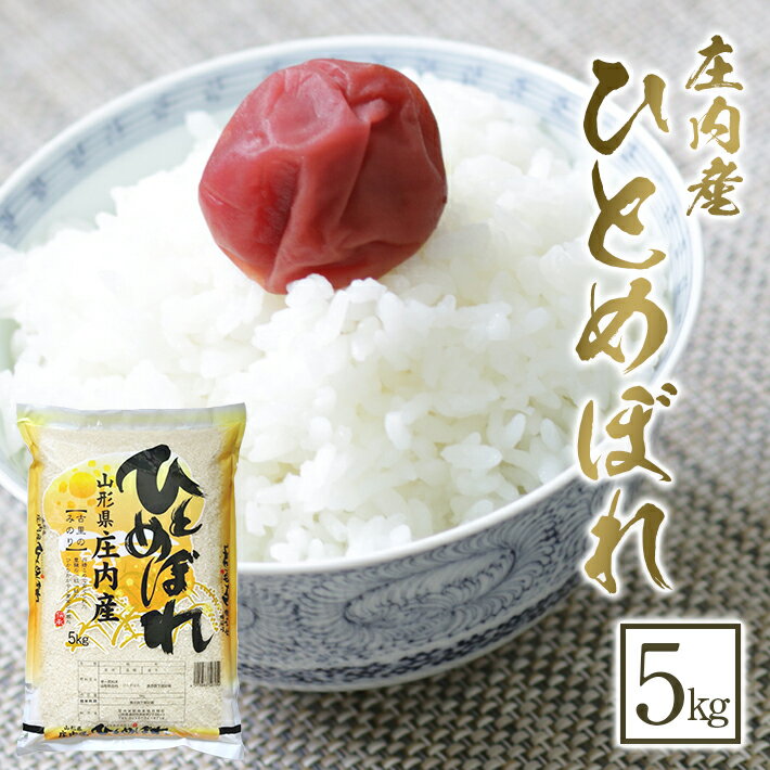 【ふるさと納税】ひとめぼれ 5kg 令和7年産米 山形県庄内産 東北 山形県 酒田市 庄内地方 庄内平野 米 お米 精米 白米 ブランド米 ごはん ご飯