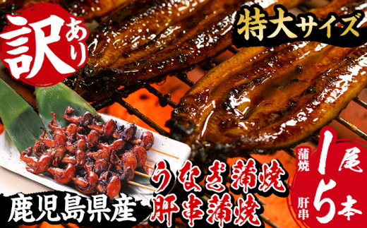 ＜90日配送＞訳あり！国産うなぎ（鹿児島県産うなぎ）蒲焼 特大 190g超 と うなぎの肝串1パック（1パック：5本入り）冷凍 真空パック 珍味 希少 鹿児島県産新仔うなぎ使用 こだわりの地焼き！鰻重 きざみ鰻 簡易包装 でお届け！【南竹鰻加工】【00-025-20-90】
