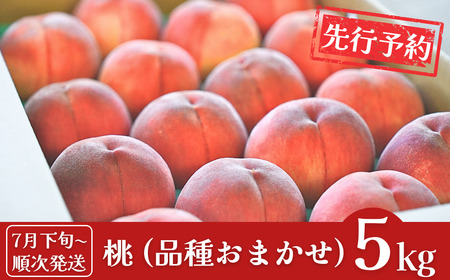 先行予約 桃 約5kg (13～18個入) [2025年発送分 桃] 令和7年産 桃 新潟フルーツ 新潟県産桃 [石田フルーツガーデン] 【017P021】