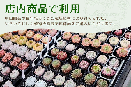 中山園芸 商品券 5,000円分 A07-023