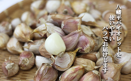 オーガニックにんにく 八幡平バイオレット 1000g（バラ） ／ すばるファーム ニンニク 大蒜 野菜 産地直送