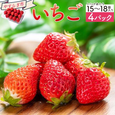 ふるさと納税 香南市 いちご 4パック 計60個程度 yr-0054 | 