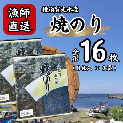 ふるさと納税 横須賀市 【訳あり】海苔2袋(全形16枚)漁師直送 上等級 焼き海苔 のり