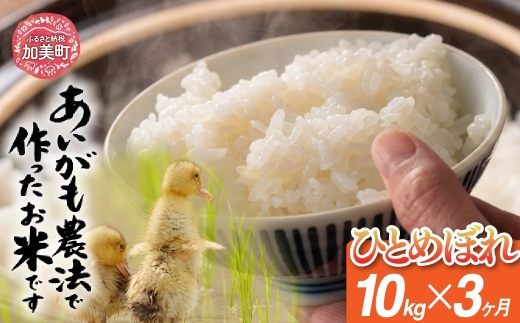 【定期便3回】令和8年産 特別栽培米 あいがも農法でつくったひとめぼれ 10kg（5kg×2袋）×3回 [カメイ 宮城県 加美町] お米 こめ コメ 精米 白米 ひとめぼれ | km-ag-hb10-t3-r8