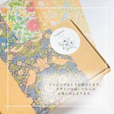 ふるさと納税 小山市 アレルギー対応ピアス「かすみ草のリボン」 |  | 01