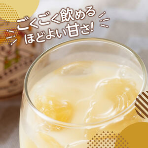 サンA フルッぴーフルーツオレ(PET) 240ml×48本 【 川南町 フルーツ 日向夏 キウイ ドリンク 】