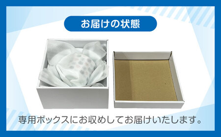 【美濃焼】MEAL Kids ゾウ 麺鉢 カレー皿 マグカップセット【大東亜窯業】楕円皿 子供用 皿 プレート 楕円 カレー パスタ キッズ 食器 男の子 女の子 動物 可愛い 日本製 美濃焼 陶器 