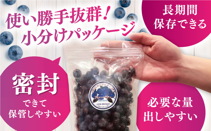 冷凍 完熟 ブルーベリー 計1kg (約500g×2P) 冷凍ブルーベリー 小分け ブルーベリー 冷凍フルーツ 熊本県産ブルーベリー 完熟ブルーベリー 山都町ブルーベリー【マルク ザ・ガーデン】 [Y