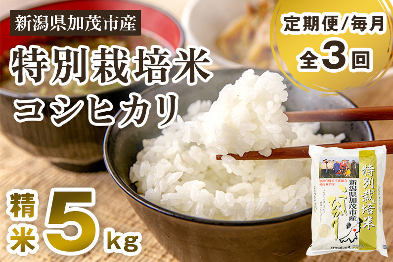 
            【令和7年産新米先行予約】【定期便3回毎月お届け】特別栽培米 コシヒカリ 精米 5kg 《10月中旬から順次出荷》 白米 従来品種コシヒカリ 加茂有機米生産組合 新潟県 加茂市産 白米 米 お米 定期便
          