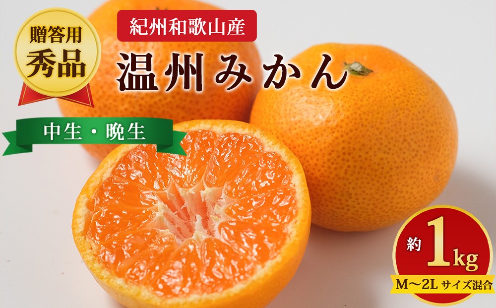 
                  【先行予約】【贈答用・秀品】紀州和歌山産 温州みかん 約1kg（箱込み）M～2L サイズ混合（中生・晩生）
                