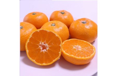 こだわりの和歌山県産 有田みかん 5kg（S～Lサイズおまかせ）ひとつひとつ手選別で厳選！生産者から直送 ｜ みかん