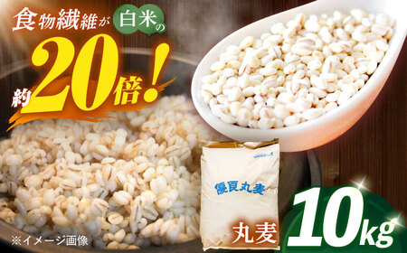 長崎県産 丸麦 10kg / 麦 むぎ 雑穀 雑穀米 麦ごはん 麦飯 麦みそ 食物繊維 長崎県産 米 こめ コメ ※ / 諫早市 / 有限会社伊東精麦 [AHBU005]