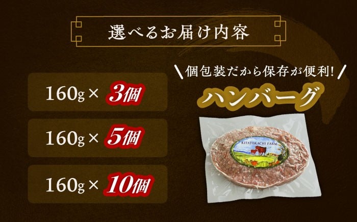 肉 ハンバーグ 牛肉 赤身 和牛 ギフト 北海道産 足寄町 北海道 
