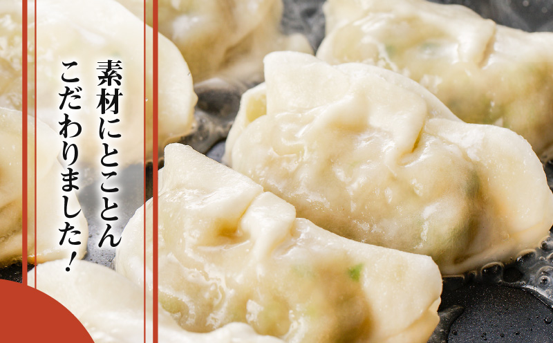 鹿児島黒豚使用の黒豚餃子 96個　K202-001