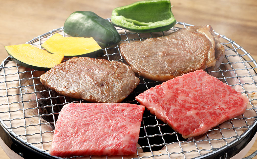 飛騨牛 A5 等級 焼肉 用 （ ロース 400g）