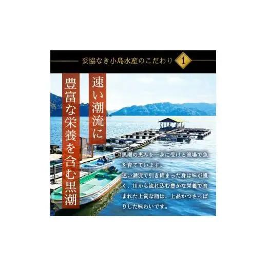 ブリ まるごと1本 3kg以上 乙女ブリ