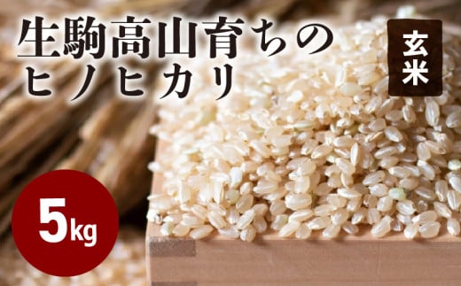 生駒高山育ちの　ヒノヒカリ玄米5kg(生産者　上武猛)　令和6年産新米 年内発送