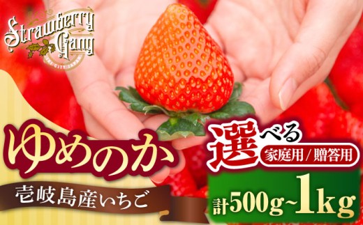【贈答用】ゆめのか 約1kg（250g×4パック）《壱岐市》【Strawberry Gang】 [JEM001] セット いちご イチゴ 苺 定期便 果物 フルーツ スムージー 春の味覚 15000 15000円