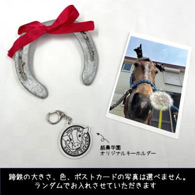 ふるさと納税 江別市 【酪農学園大学】馬術部の蹄鉄(ポストカード・キーホルダー付き) |  | 02