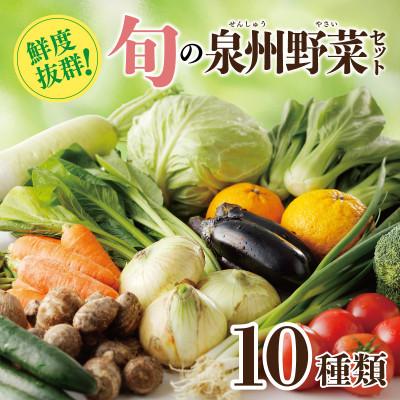 ふるさと納税 泉佐野市 新鮮 野菜セット 詰め合わせ 10種類 国産 旬 お試し おまかせ お楽しみ 099H2491