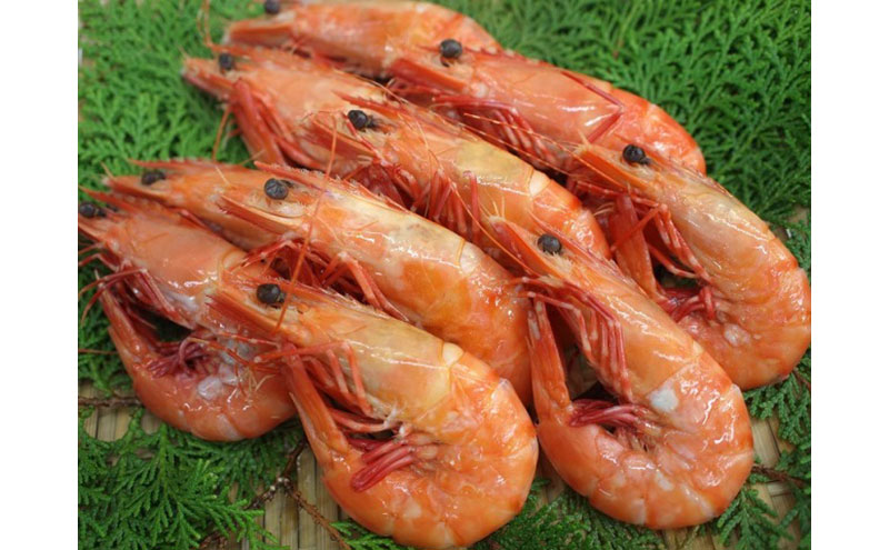 天然 アシアカエビ 氷〆 1.2kg えび エビ 海老 足赤エビ クマエビ 天然エビ 殻付き 魚介 魚介類 海鮮 海の幸 エビフライ 淡路島 洲本市　お届け：10月～5月