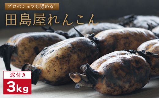 【先行予約　2026年8月～発送】れんこん（泥付き） 3kg【田島屋れんこん】/農家直送 直送 レンコン 蓮根 佐賀県 白石町 野菜 根菜 高品質 九州 佐賀県 白石町  白石 [IAV001]
