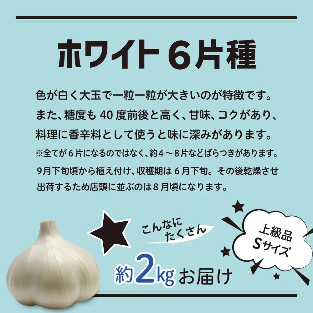 【8月上旬より順次発送】青森県産にんにく 【上級品】 Sサイズ 2kg ホワイト六片 にんにく