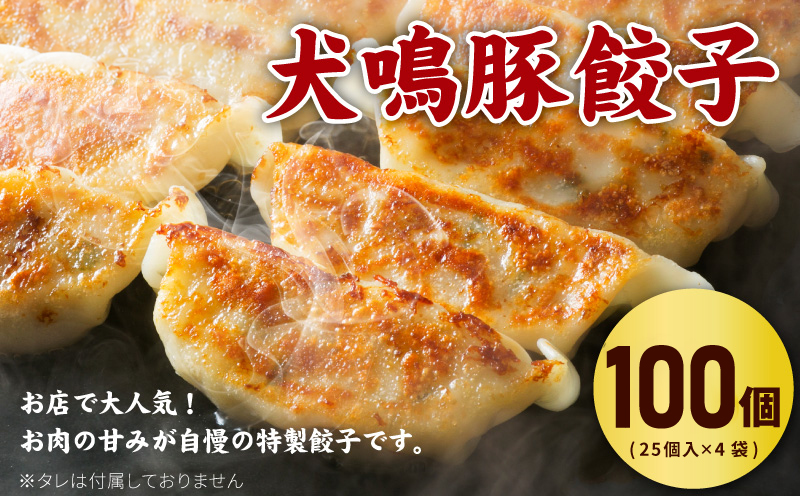 【期間限定】犬鳴豚餃子 100個 ハンバーグ 2個 セット【国産 豚肉 ぶたにく 犬鳴ポーク 焼くだけ 人気 総菜 冷凍】 G5375
