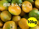 【ふるさと納税】極早生みかん 10kg ご家庭用 日南1号 農園直送 愛媛 数量限定 愛媛県産 人気 柑橘 伊予市 | B227