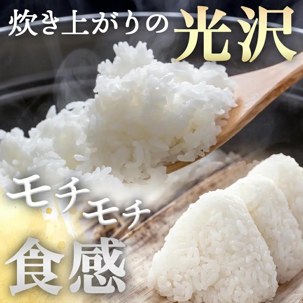 都城産ひのひかり15kg(5kg×3袋)〔AF-1506〕_(都城市) 令和7年産 都城産 お米 5kg×3袋 15kg ひのひかり