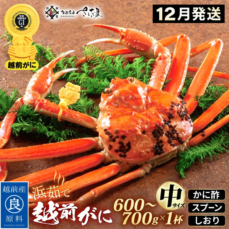 【ふるさと納税】浜茹で 越前がに 中サイズ（生で600〜700g） × 1杯 かに酢 食べ方しおり スプーン付き【12月発送分】【かに カニ 蟹 ズワイガニ ずわいがに 姿 ボイル 福井県 冷蔵】希望日指定可 備考欄に希望日をご記入ください [e04-x029_12]